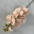 Artificial French butterfly orchid 9 heads faux flower for home wedding table decoration. - Wheat #47