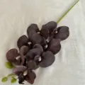 Artificial Phalaenopsis orchid single stem 7 heads dark purple silk flower home wedding decor - Dark Coffee