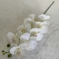 Artificial white Phalaenopsis orchid branch with red spots, 9 heads fabric flower for home decor. - Cream