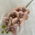 Artificial Phalaenopsis Orchid 7 Heads Silk Flower Branch for Home and Indoor Wedding Decor - Light Coffee