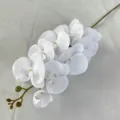 White artificial phalaenopsis orchid stem, realistic faux floral for home decor and wedding setup. - Pure White #60