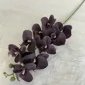 Artificial dark purple phalaenopsis orchid flower branch 9 heads floral arrangement - Dark Coffee