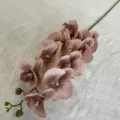 Artificial Phalaenopsis Orchid Stem Mauve Fake Flowers For Home Wedding Decor - Light Coffee