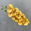 Yellow artificial 3D Phalaenopsis orchid flower stem variant, premium home floral decor. - Light Yellow