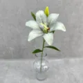 Close-up of a single artificial lily flower with green leaves in a clear glass vase detail shot. - Grey Green