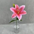 Detail closeup of a single pink artificial lily flower in a clear glass vase for decor. - Rose Red