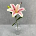 Close-up of a single artificial lily flower in a clear glass vase for elegant home decor. - Champagne