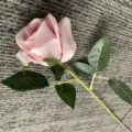 Gros plan rose artificielle rose, fleur en tissu avec feuilles vertes pour décoration - Tout Rose