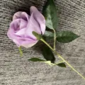 Gros plan d'une rose artificielle violet clair avec des feuilles vertes et une tige. - Mauve Clair
