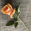 Détail en gros plan d'une rose artificielle orange avec des feuilles vertes, décor floral faux. - Orange