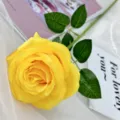Artificial yellow rose single flower wedding home decor realistic floral arrangement props - Yellow