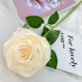 Single artificial cream rose flower for wedding home decoration floral arrangement prop - Champagne