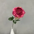 Künstliche Austin-Rose in Vase, elegante Dekoration für Zuhause, Tisch und Hochzeit. - Fuchsia