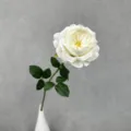 Single artificial Austin rose flower in white vase for home decor desktop elegant styling - White