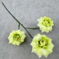 Detail shot of 3-head artificial bubble green rose flower with green stems for home decor. - Light Green
