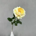 Künstliche Austin Rose Einzelblume Gelbe Faux Florale Tischdekoration schöne Variante - Hellgelb