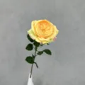 Künstliche Austin Rose gelb einzelne Blume Heimtextilien Kunstblume Hochzeitsdeko SKU - Dunkelgelb