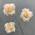 Kunstrose 3-Kopf Seidenblume Champagner Farbe Heimdeko Hochzeit Blumenarrangement - Champagner
