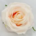 Künstlicher Rosenblütenkopf aus Seide, dekorative Blume für Gestecke und DIY Handwerk. - Fleischrosa