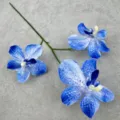 Detailaufnahme künstlicher blauer Orchideen-Blütenzweig mit 3 Köpfen für Heimdekoration. - Hellblau