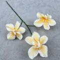 Künstlicher Orchideen Blütenzweig 3 Köpfe für Hochzeit Heimdekoration Blumenarrangement - Champagner