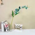Detail shot of artificial blue orchid flower arrangement with glass vase and decorative books. - Lake Blue