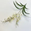 Artificial spider orchid flower branch home decor fake floral arrangement yellow purple spotted - Yellow Polka Dot