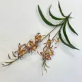 Artificial 3D printed spider orchid flower stem for home decor, hotel wedding and room design. - Coffee