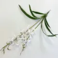 Artificial spider orchid branch white purple speckled fake flower for home decor arrangement. - Cream