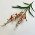Artificial 3D printed spider orchid branch red yellow faux flower home decor wedding party - Fuschia