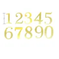 Shiny gold acrylic 0-9 number cake toppers for birthday wedding party celebration decor. - Style 1 / Thickness 1.3mm / Gold