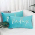 Solid color velvet gold stamping luxury lumbar pillow cover Nordic minimalist decorative cushion. - 30*50cm (Insert Not Included) / Cyan Relax Gold Foil