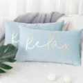 Soft light blue velvet throw pillow cover with gold foil relax text for cozy home decor. - 30*50cm (Insert Not Included) / Ice Blue Relax Gold Bronzing