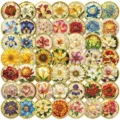 Close-up details of assorted stained glass floral stickers, waterproof PET decorative patterns. - 50 Pcs Exquisite Glaze TJ013