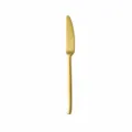 Golden stainless steel steak knife with brushed finish, 22.7cm length, durable table cutlery. - Dinner Knife / Gold