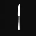 Stainless steel steak knife with square handle, 23.7cm length, professional table cutlery. - Dinner Knife