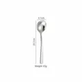 Stainless steel round spoon dinner spoon elegant tableware kitchen tool 19.7cm long mirror finish. - Soup Spoon