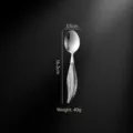 Stainless steel spoon with elegant feather handle, 16.3cm long dining flatware piece. - Tea Spoon / Silver