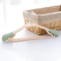 Adult seamless wide shoulder plastic clothes hanger with non-slip pads and pants rack. - Nordic Green