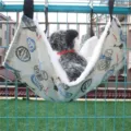 Cozy plush pet hammock for cages, soft hanging cat bed with vintage print design for small dogs kittens. - Iron Tower - Cotton Linen