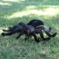 Black plush spider toy, cute crawling creepy crawly stuffed doll for Halloween decor and kids gifts - Simulation Red-Eyed Spider / 25cm / Black