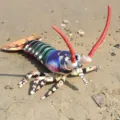 Colorful realistic lobster plush toy soft marine animal pillow home decor gift item - Simulated Lobster Blue / 55cm