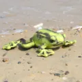 Simulation turtle plush toy cute stuffed animal green tortoise toy for kids decoration 1pc - Simulated Frog Green / 28cm
