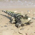 Realistic Alligator Plush Toy Simulation Crocodile Stuffed Animal Beach Photo Prop - Simulated Crocodile Brown / 70cm