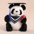 Abschluss Panda Plueschtier suesse Stuffed Tierpuppe mit Doktorhut und Diplom Geschenk. - Abschluss-Panda / 20cm / Blau
