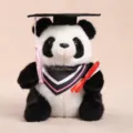 Abschluss Panda Plüschtier süße ausgestopfte Tier Puppe Abschlussgeschenk für Mädchen - Abschluss-Panda / 20cm / Rosa