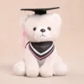 Süßer Abschluss Plüschbär Bär Spielzeug mit Doktorschütze und Schal für Mädchen. - Abschlussbär / 25cm / Beige