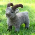 Real Bighorn Goat--Gray
