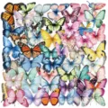 Detailweergave van kleurrijke vlinder transparante PET stickers voor DIY dagboek decor. - 50 Stuks Kleurrijke Vlinders