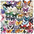 Kleurrijk vlinder journaling stickers PET transparant waterdicht doe het zelf notitieboek set - 50 Stuks Elegante Vlinders